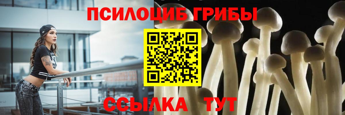 Галлюциногенные грибы Cubensis  Вход с VPN  Назрань 